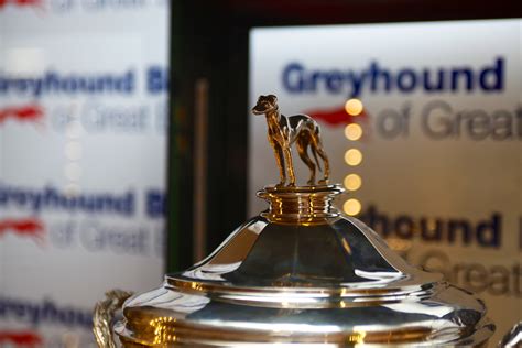 english greyhound derby 2021|GBGB Approves Revised Dates for 2021 English .